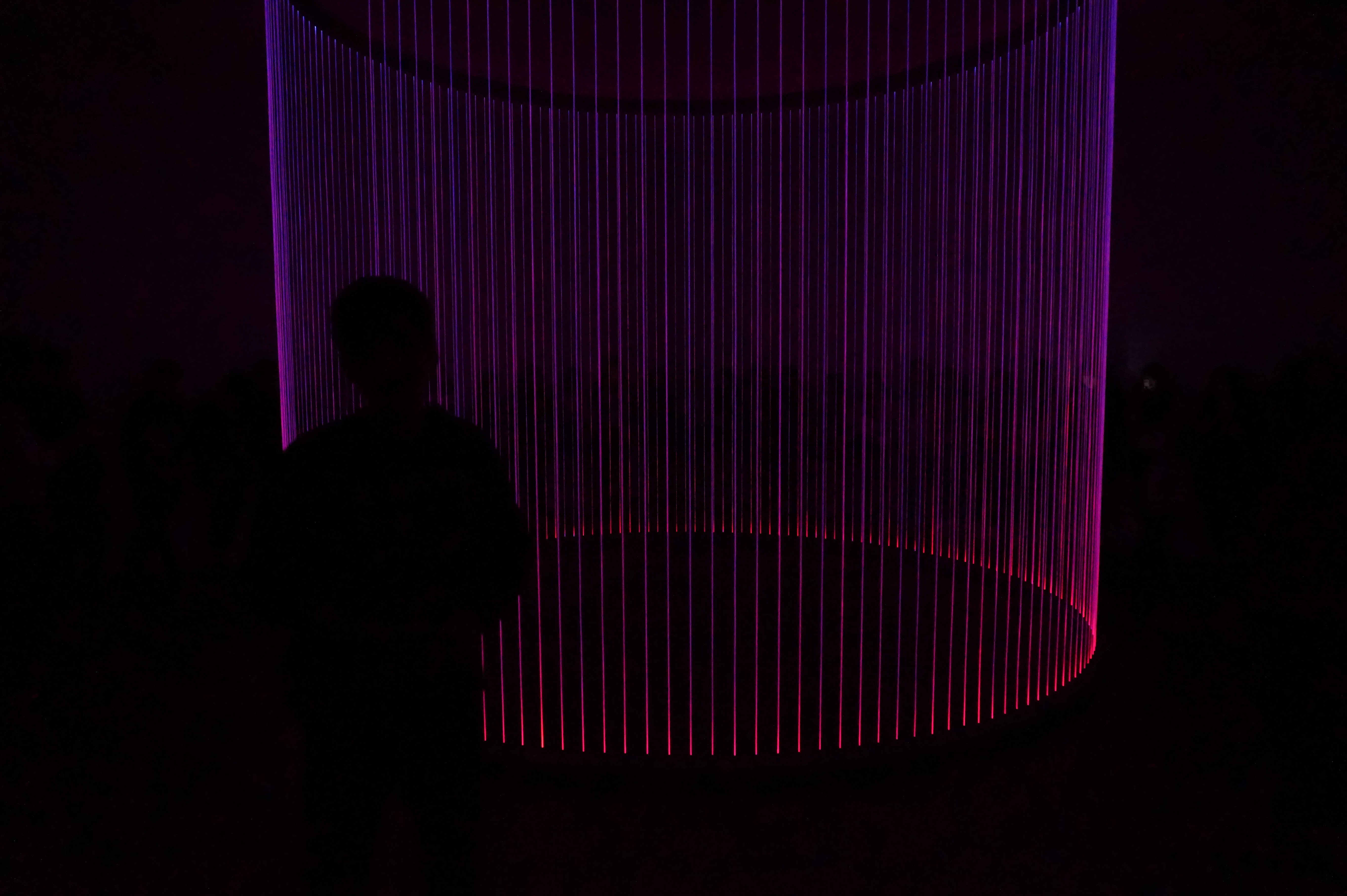 0414디뮤지움 (11).JPG